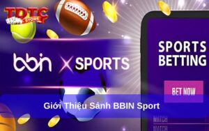 BBIN Sport tại TDTC: Nhà Cung Cấp Cá Cược Thể Thao Uy Tín